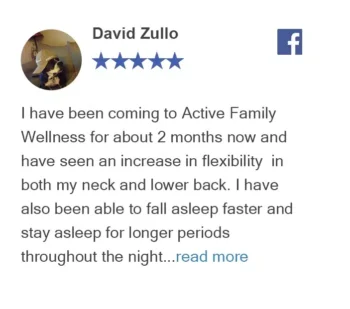 ken briesemeister Review  David Zullo Review