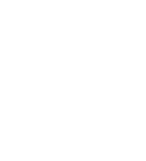 Alleviate your lower back pain at Active Family Wellness